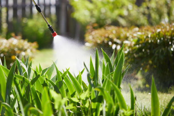 24/7 Emergency Cockroach Control experts in West Liberty, IA