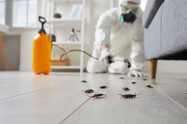 Affordable Cockroach Control solutions in West Liberty, IA